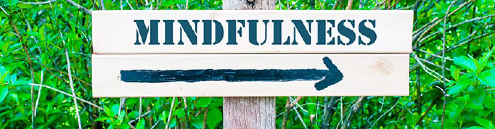 Intro to Mindfulness - Online Class by Diane Dunlevy