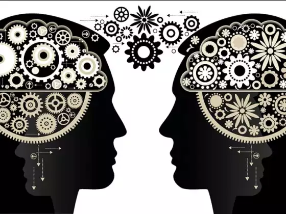 Retrain the Brain