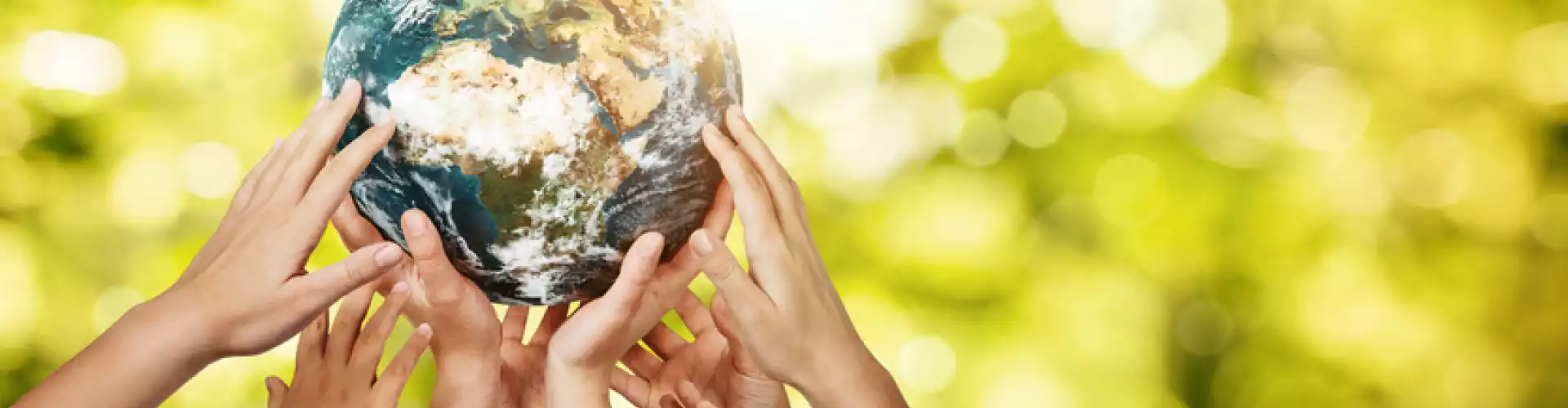 Helping the Planet, Helping Ourselves - Online Class by Kate Dusek