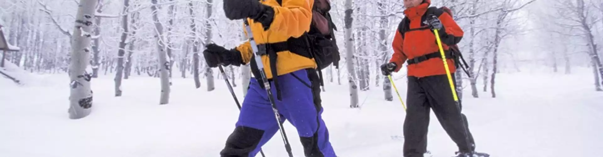 Enjoying Movement and Making it Stick  - Online Class by Kate Dusek