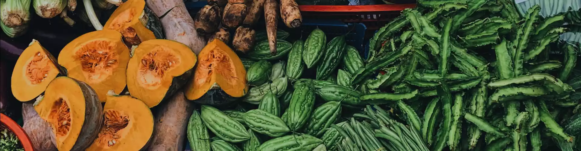 Cooking With Vegetables